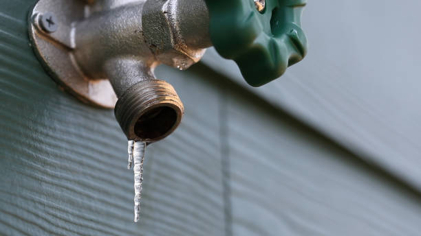 Best Emergency Plumbing Repair  in Venetian Vlage, IL